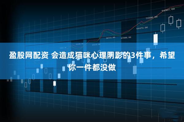 盈股网配资 会造成猫咪心理阴影的3件事，希望你一件都没做