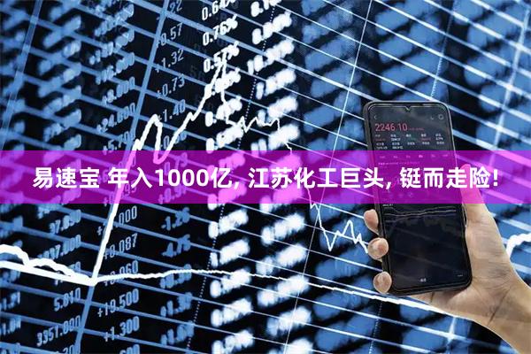 易速宝 年入1000亿, 江苏化工巨头, 铤而走险!