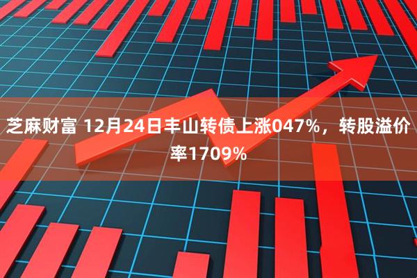 芝麻财富 12月24日丰山转债上涨047%，转股溢价率1709%