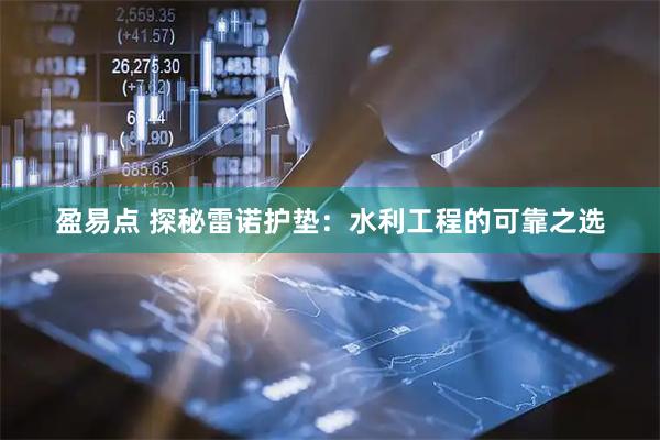 盈易点 探秘雷诺护垫：水利工程的可靠之选