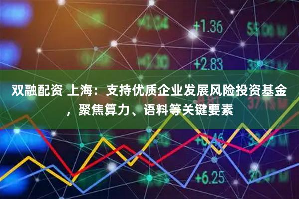 双融配资 上海：支持优质企业发展风险投资基金，聚焦算力、语料等关键要素