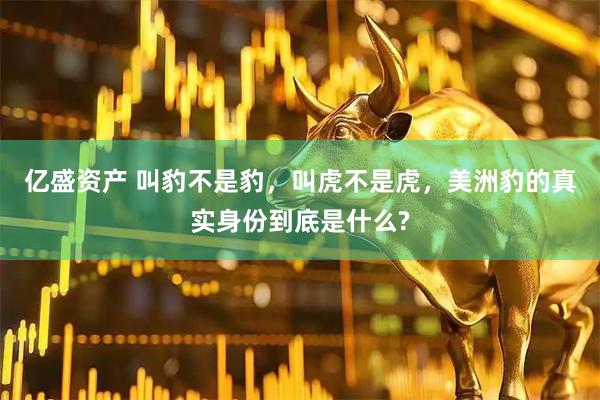 亿盛资产 叫豹不是豹，叫虎不是虎，美洲豹的真实身份到底是什么?