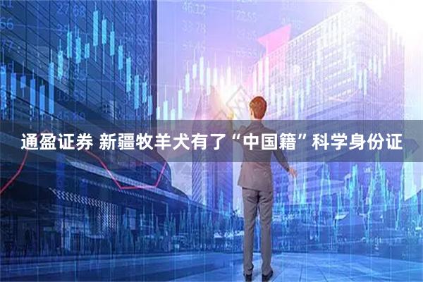 通盈证券 新疆牧羊犬有了“中国籍”科学身份证